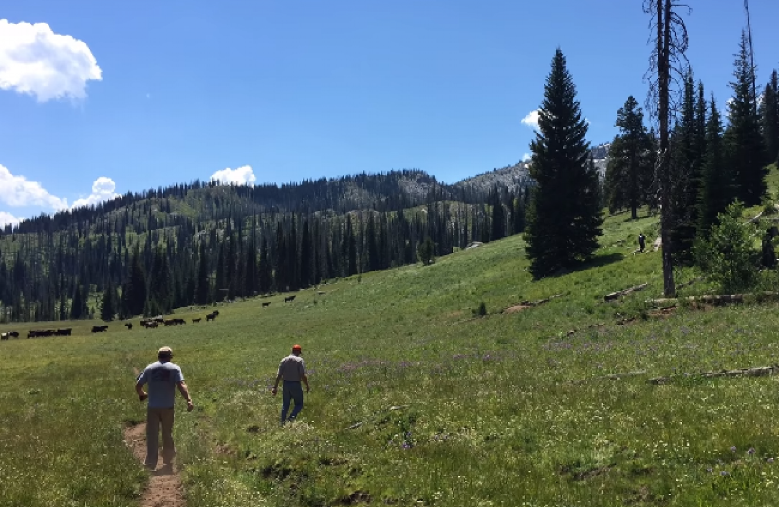 Top 10 most secluded towns in the United States ExploringUSA