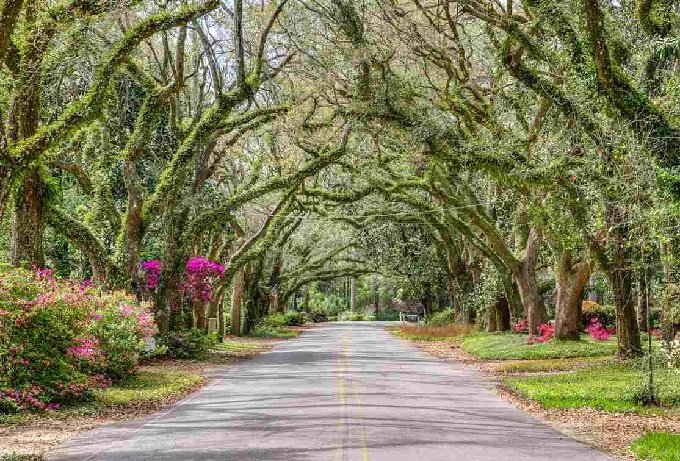 best places to live in alabama coast