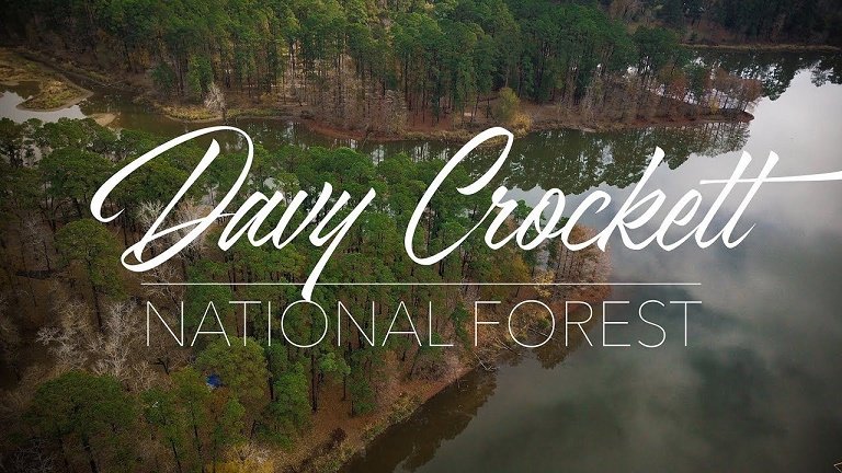Davy Crockett national Forest