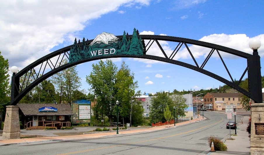 Weed California 1