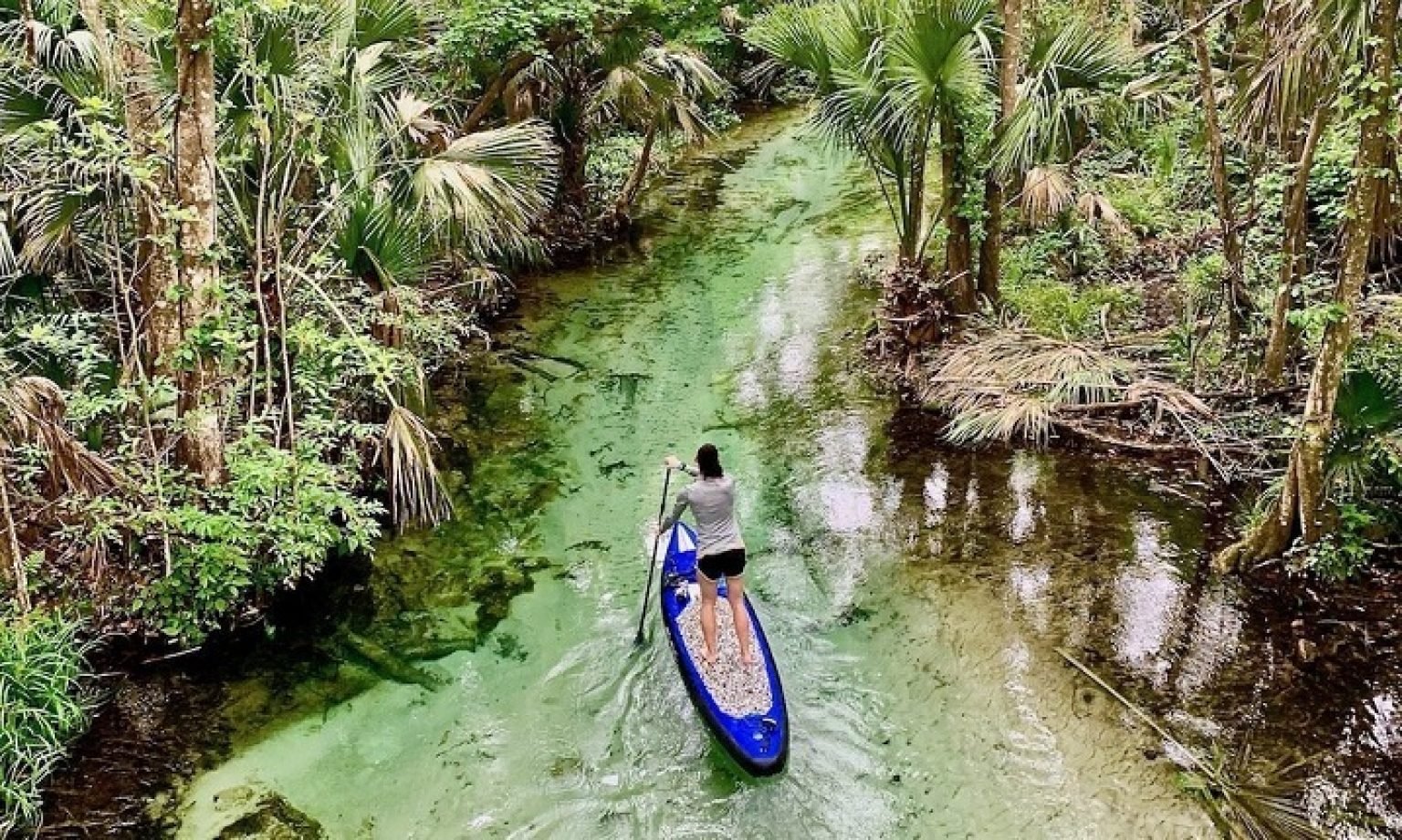 Kings landing Florida History and interesting Fun Facts ExploringUSA