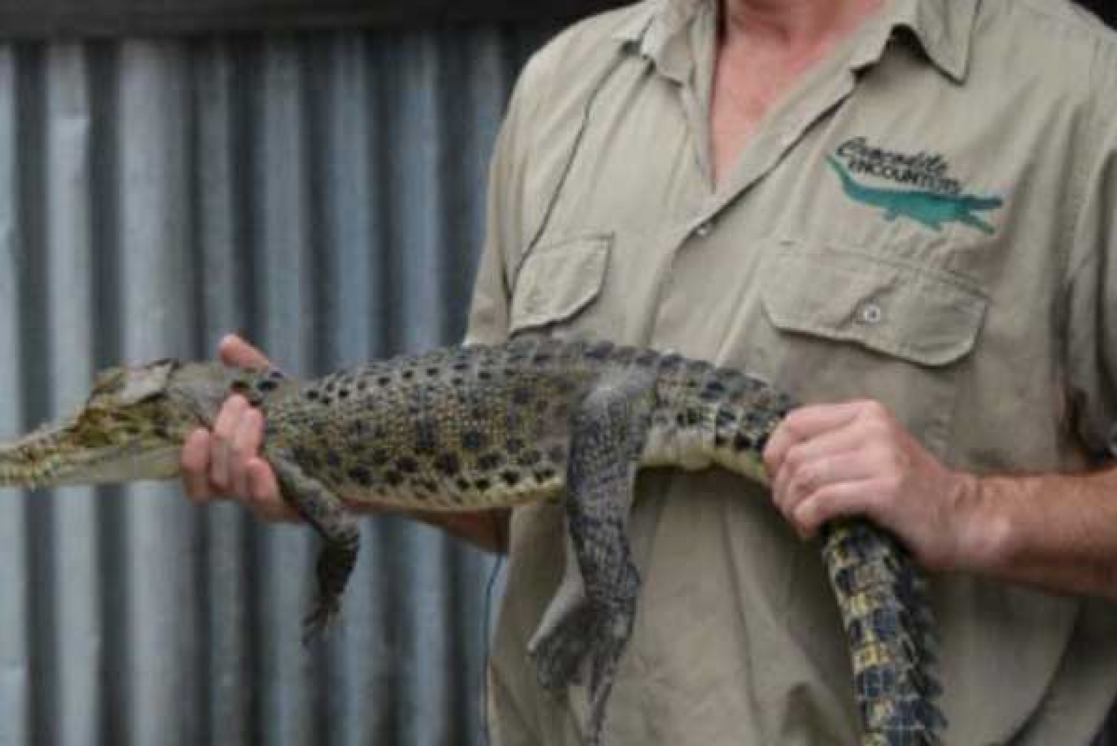 Lithia Florida | History and Best Places to Visit - Exploring-USA