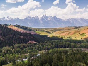 Grand Teton National Park, Wyoming_img