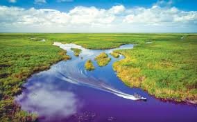 Everglades National Park, Florida_img