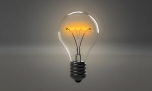 The Light Bulb_img